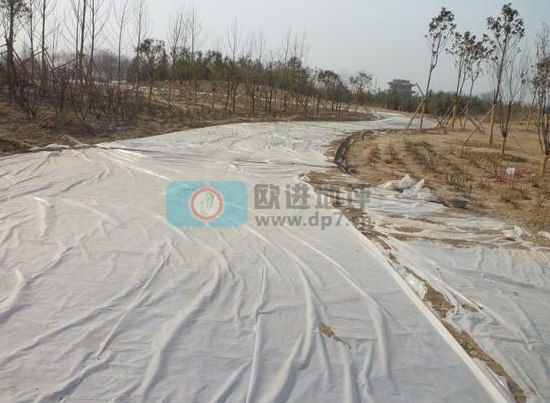 彩色生態(tài)透水混凝土地坪-歐進(jìn)建材www.zsjkw.cn